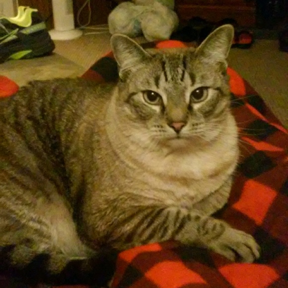 Meet your Posher, K - Picture 1 of 1